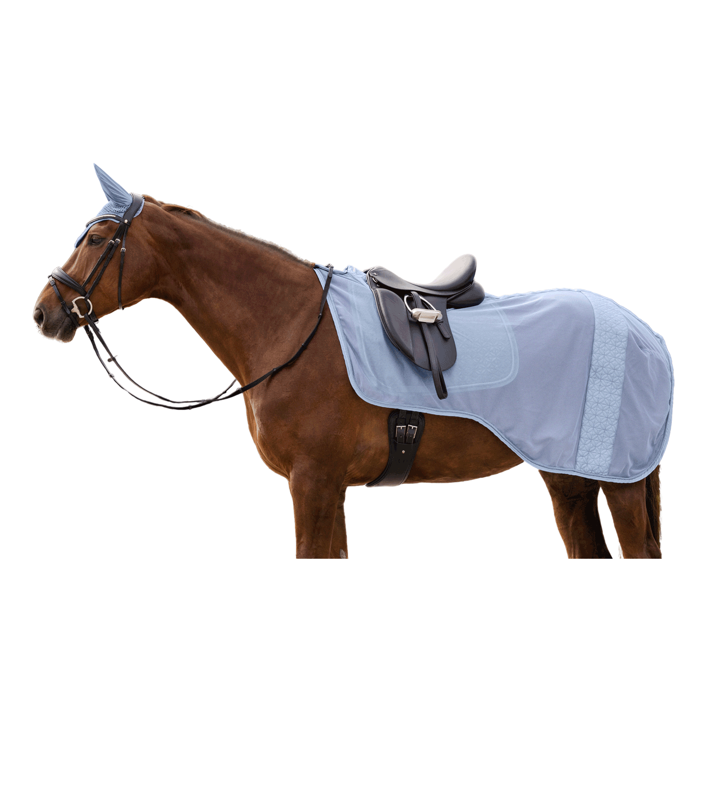 Waldhausen uitrijdeken Rom, pastelblauw, pony
