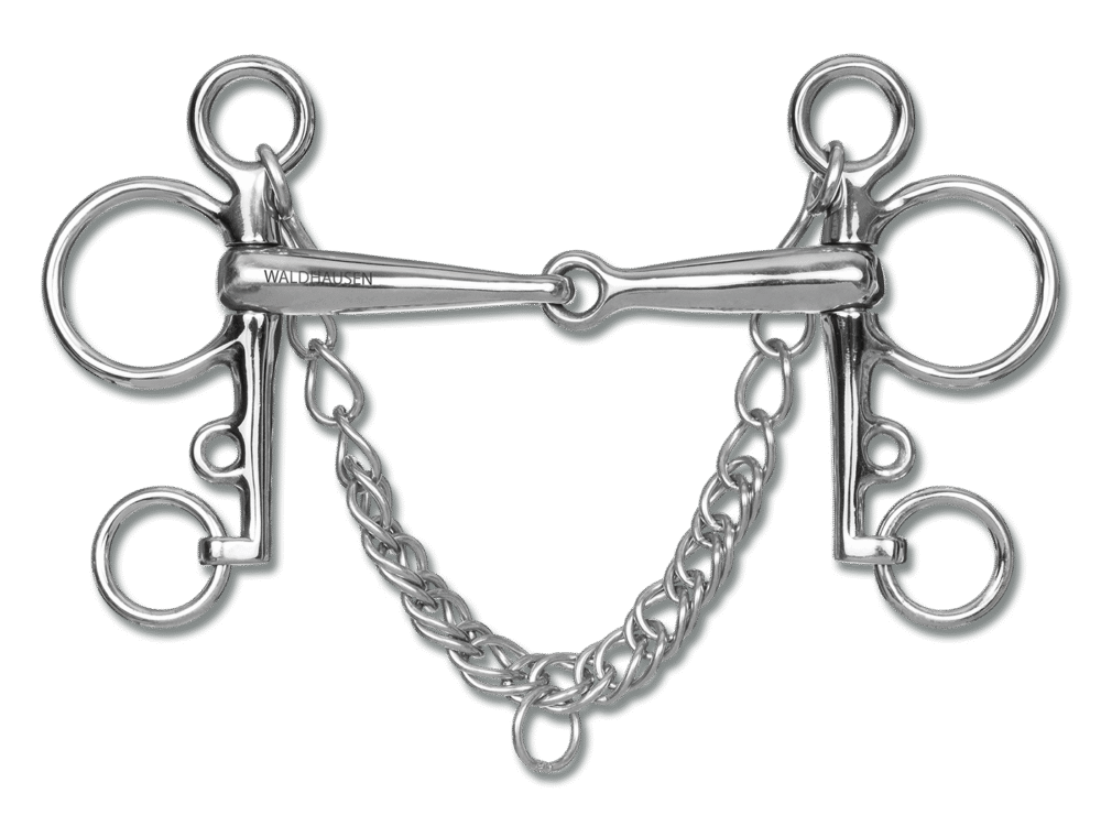 Waldhausen Pelham SS solid, T:16 mm, W:10,5cm, LP: 4cm