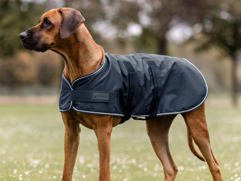 Waldhausen Honden regendeken Navy 35cm