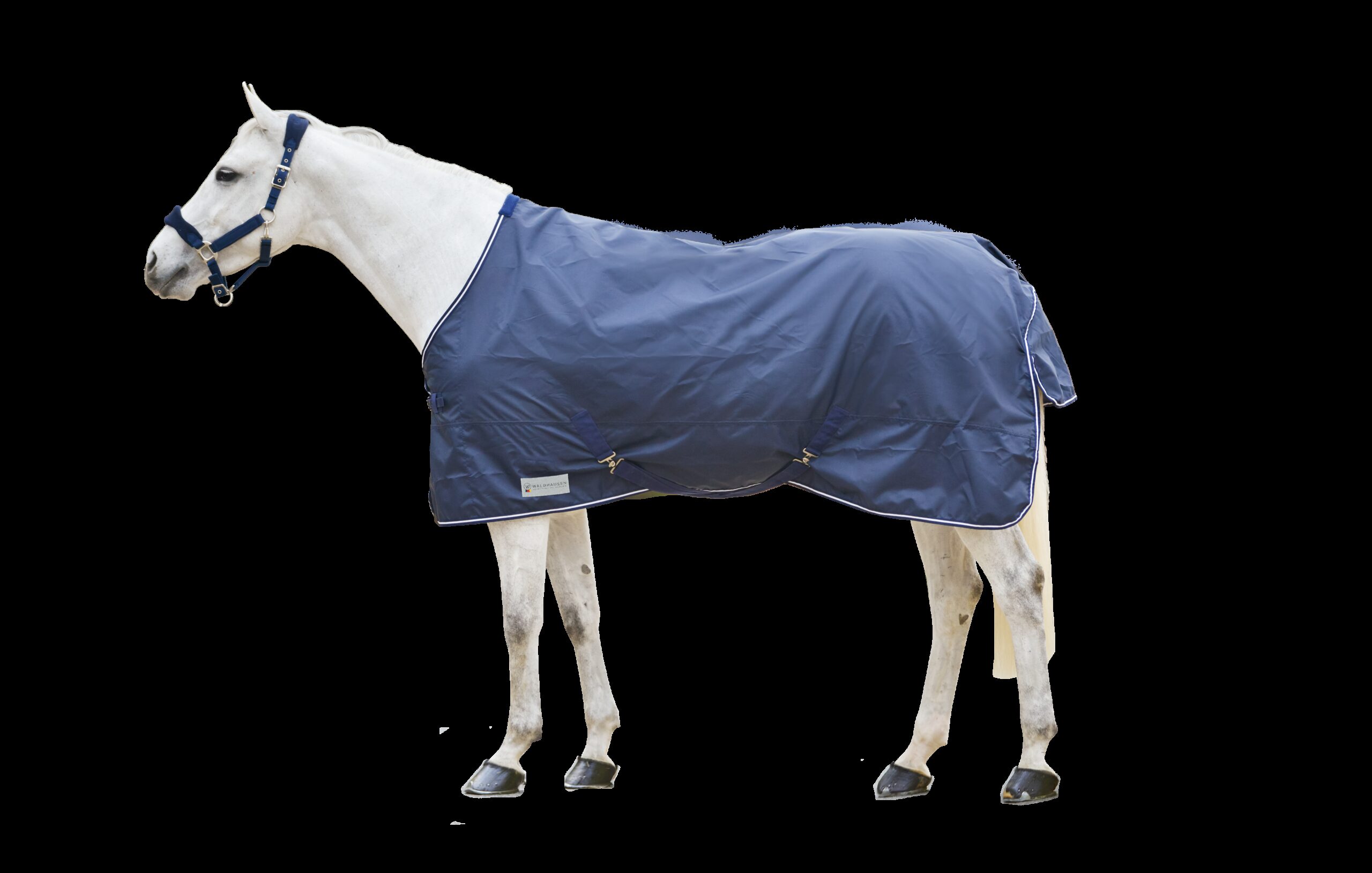 Waldhausen regendeken Economic Night Blue