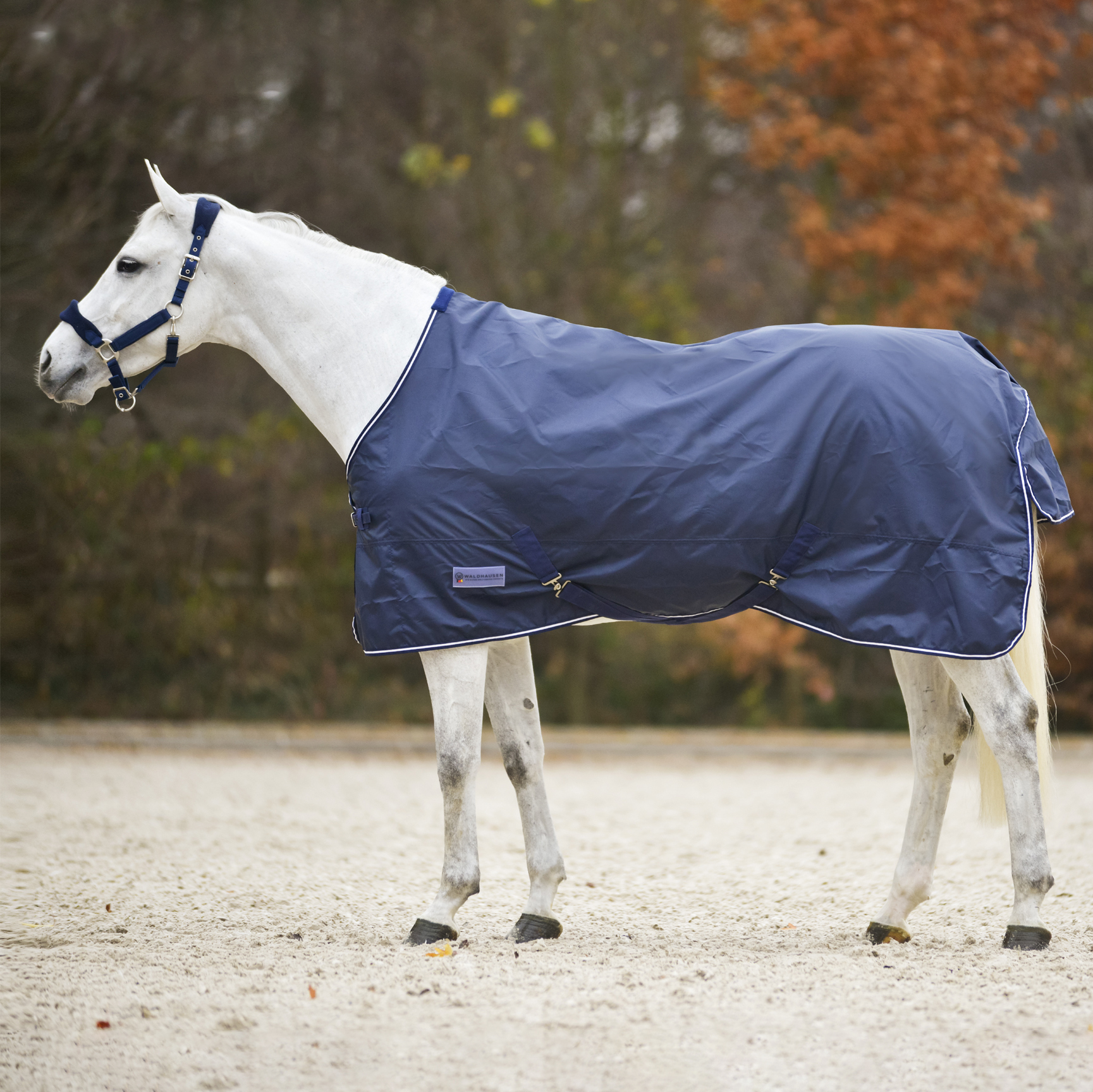 Waldhausen regendeken Economic Night Blue - Afbeelding 2