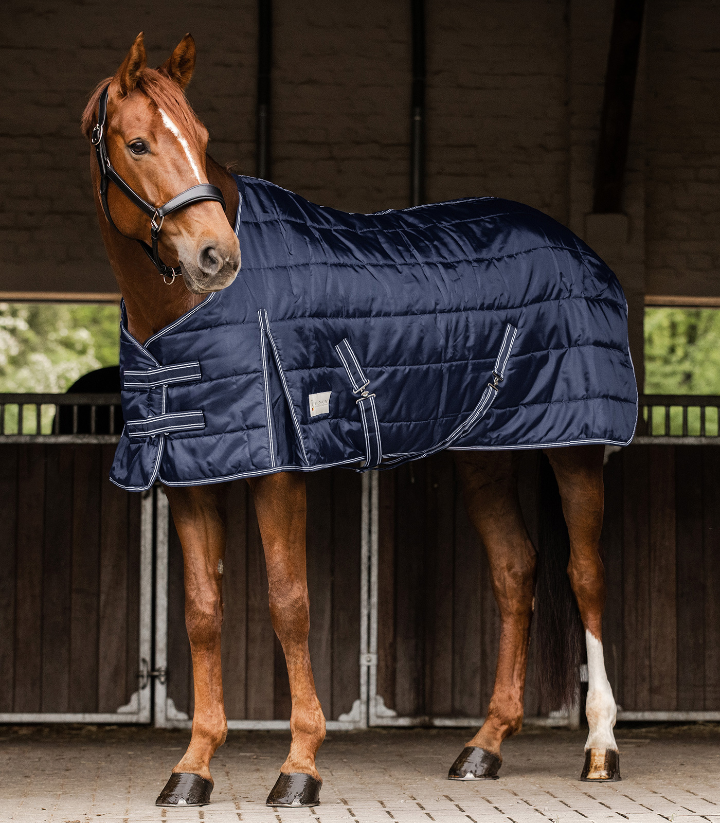 Waldhausen Staldeken Economic 100g Night Bleu 105cm - Afbeelding 2