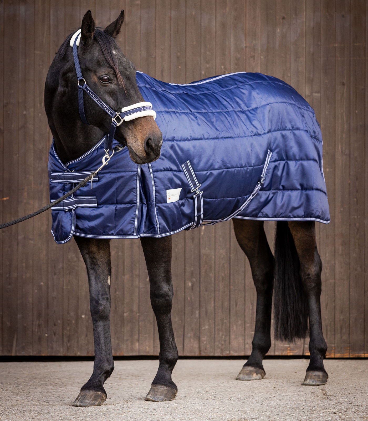 Waldhausen Staldeken Economic 200g Night Blue - Afbeelding 2