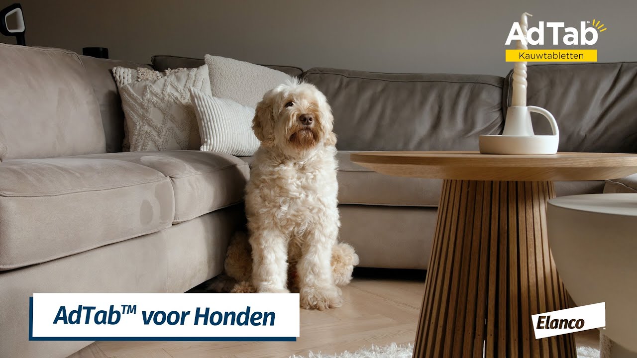 Elanco AdTab kauwtabletten hond (>22 - 45 kg) - Afbeelding 2