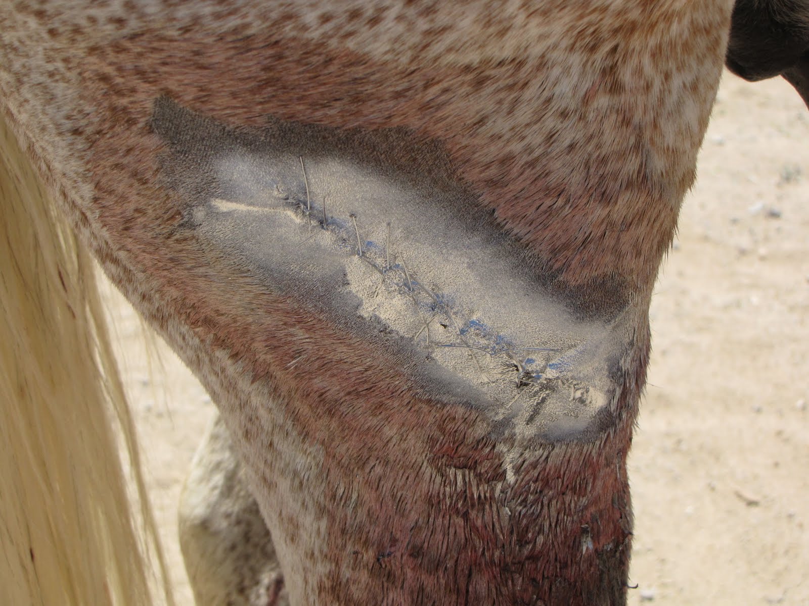 Excellent Aluminium Spray - Afbeelding 2