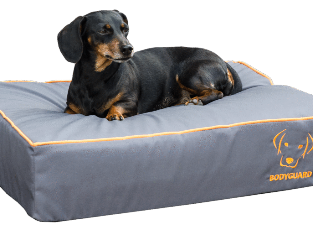 Bodyguard Royal Bed Grijs S