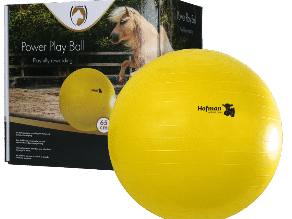 Maximus Power Play Ball 65 cm