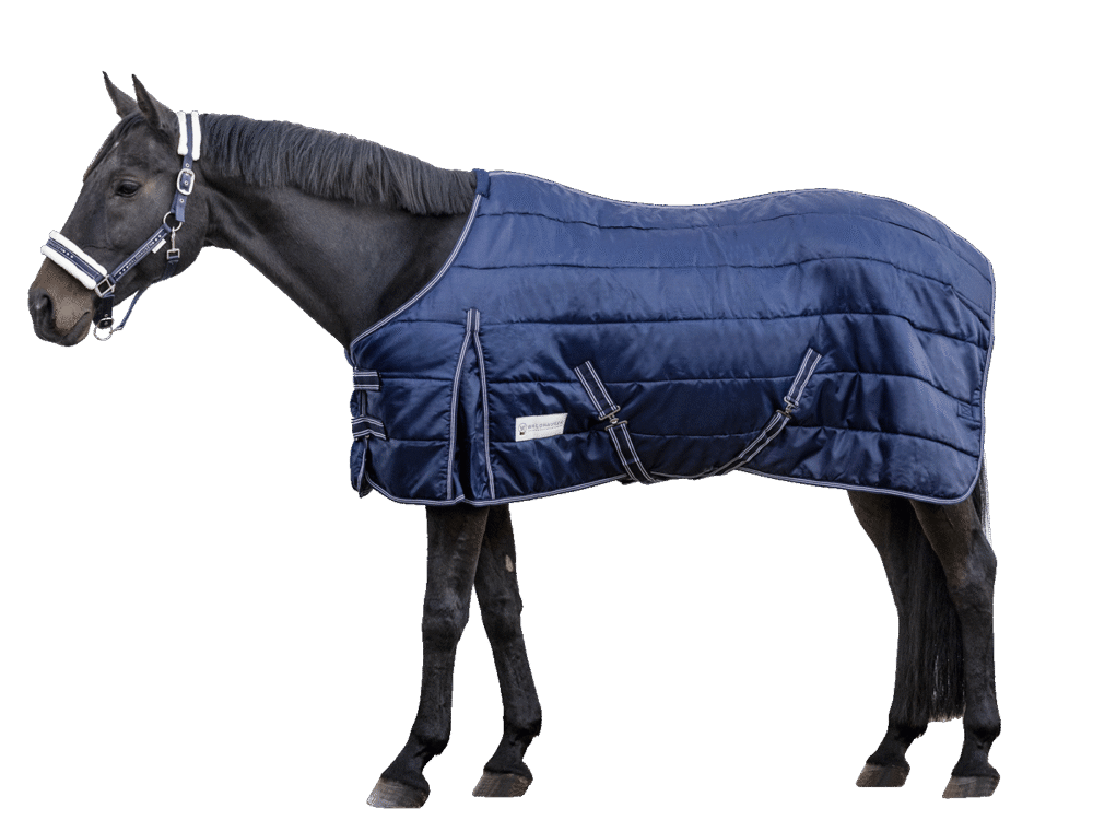 Waldhausen Staldeken Economic 300g Night Blue 105cm