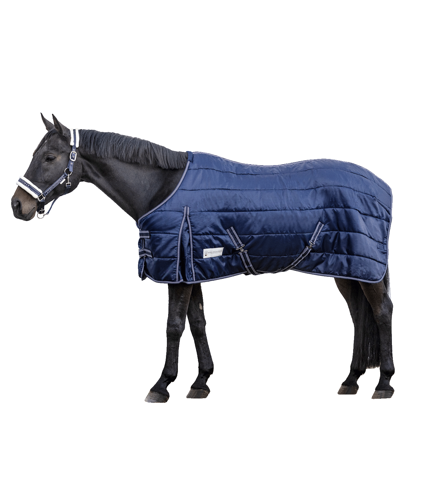 Waldhausen Staldeken Economic 300g Night Blue 105cm