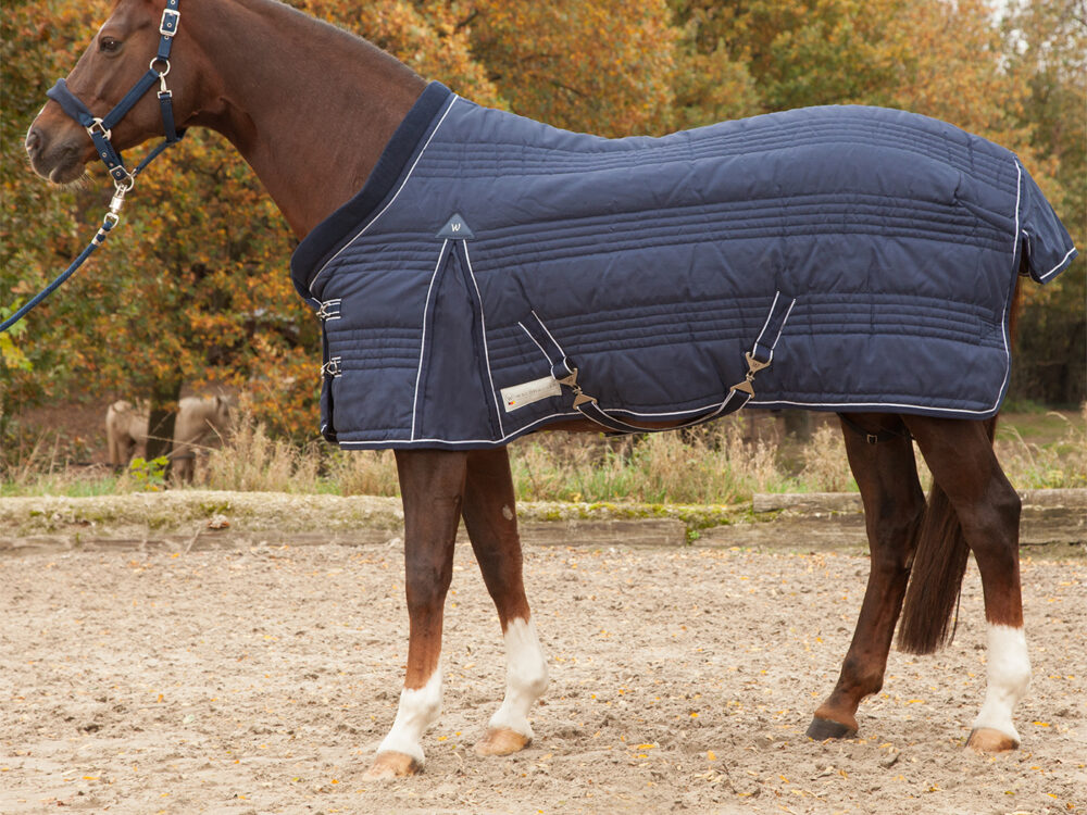 Waldhausen Staldeken Comfort Line 200g Night Blue 125cm