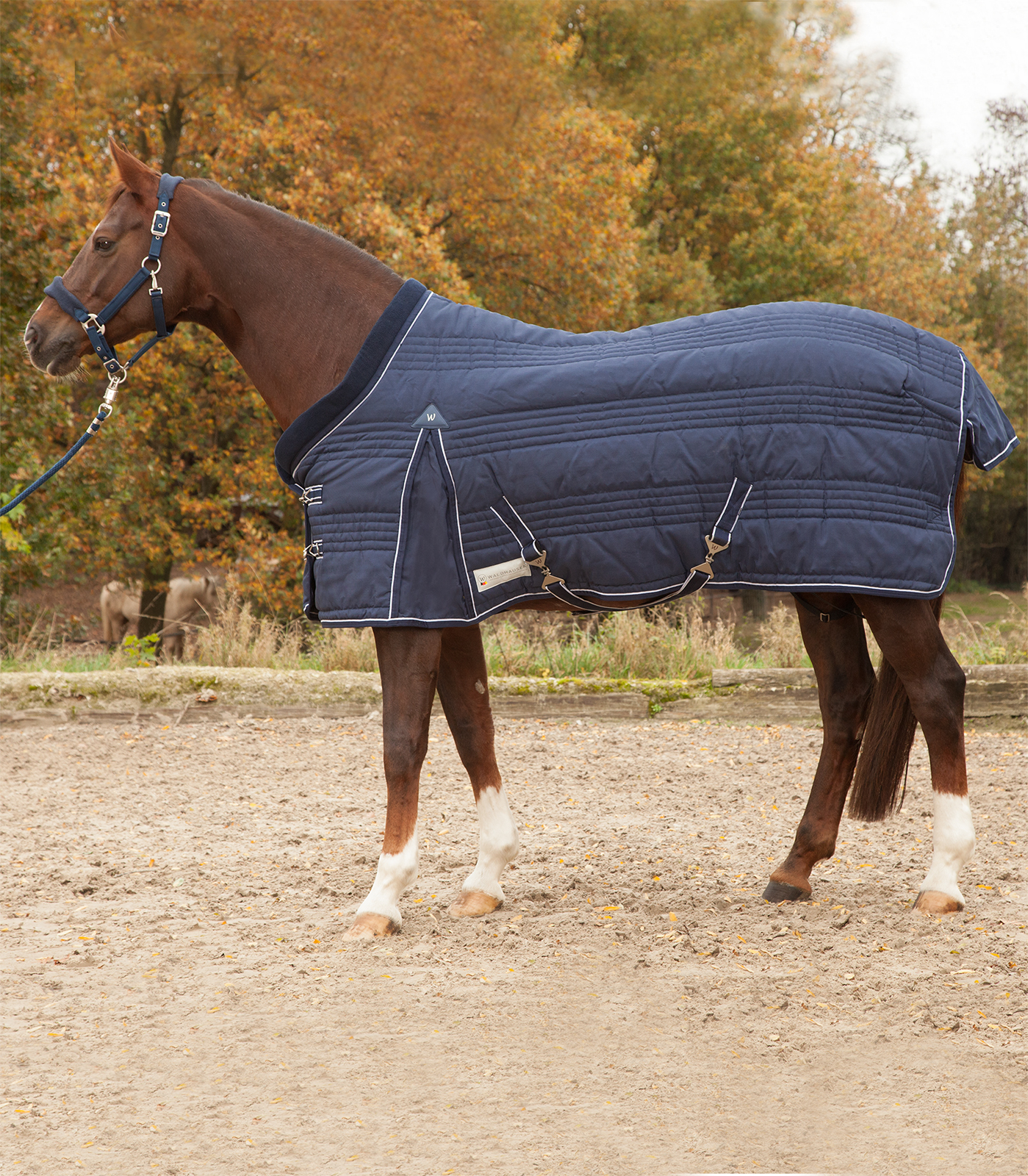 Waldhausen Staldeken Comfort Line 300g Night Blue 125cm
