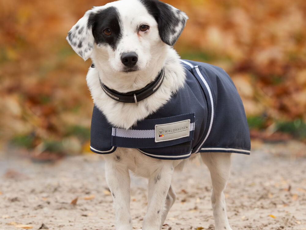 Waldhausen Honden Outdoordeken Comfort Line 200g Navy White
