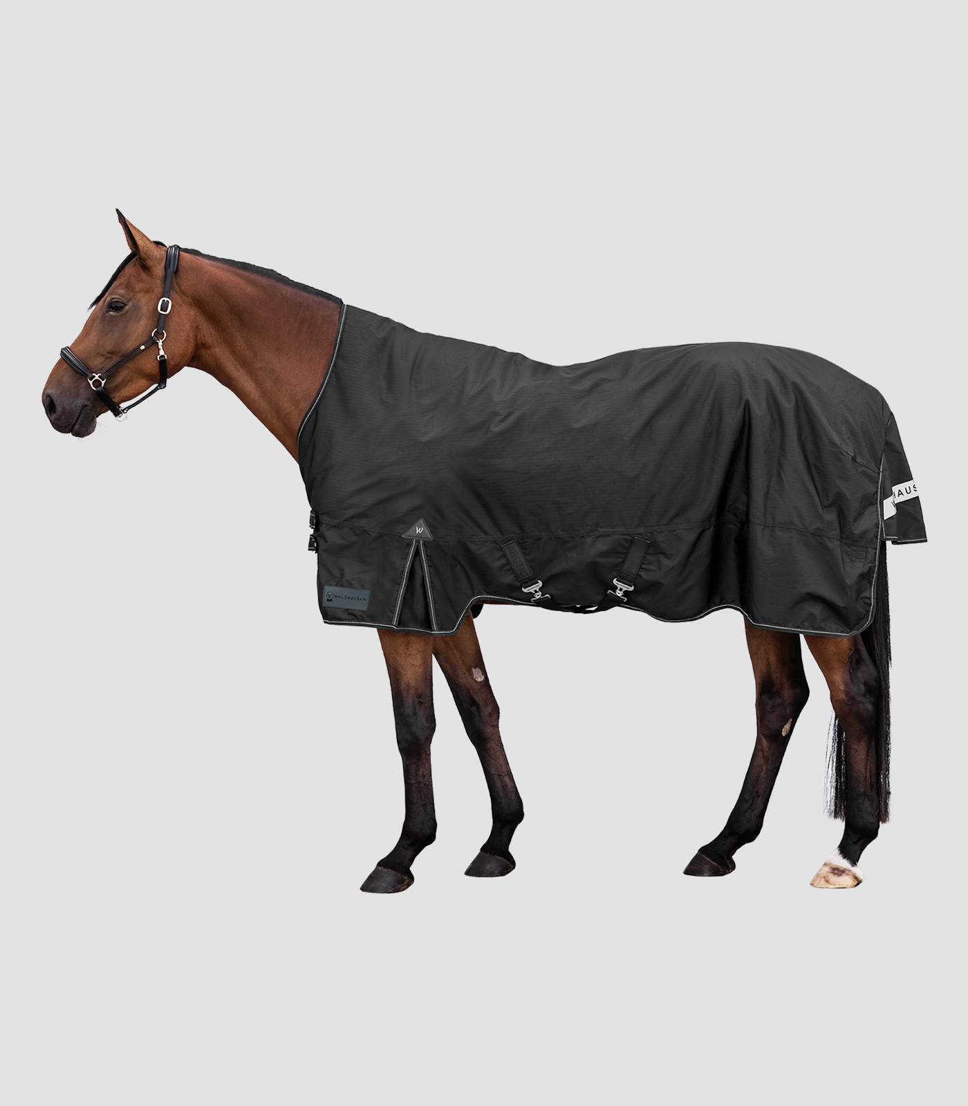 Waldhausen Arctic High Neck Light
