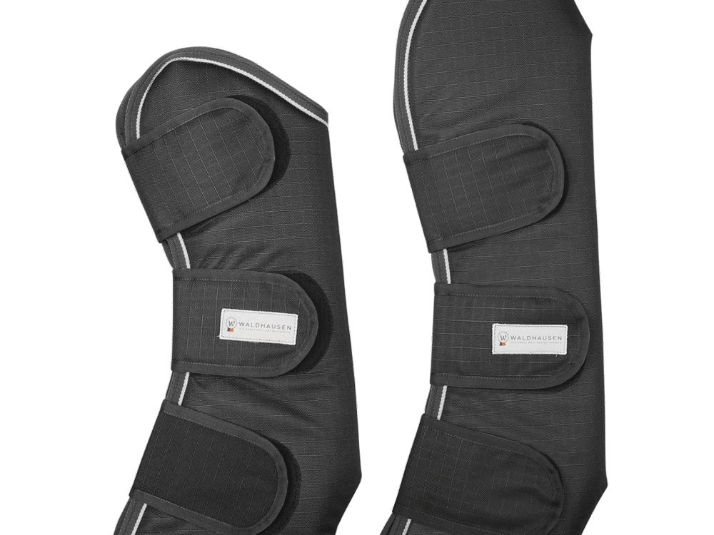 Waldhausen Transportbeschermers Comfort Line, black/white, Pony