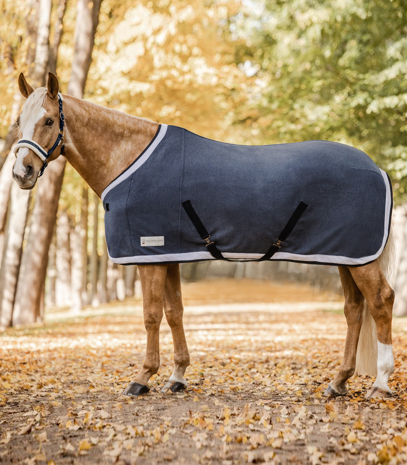 Waldhausen fleecedeken Esperia Two, donkerblauw/crème, 125 cm