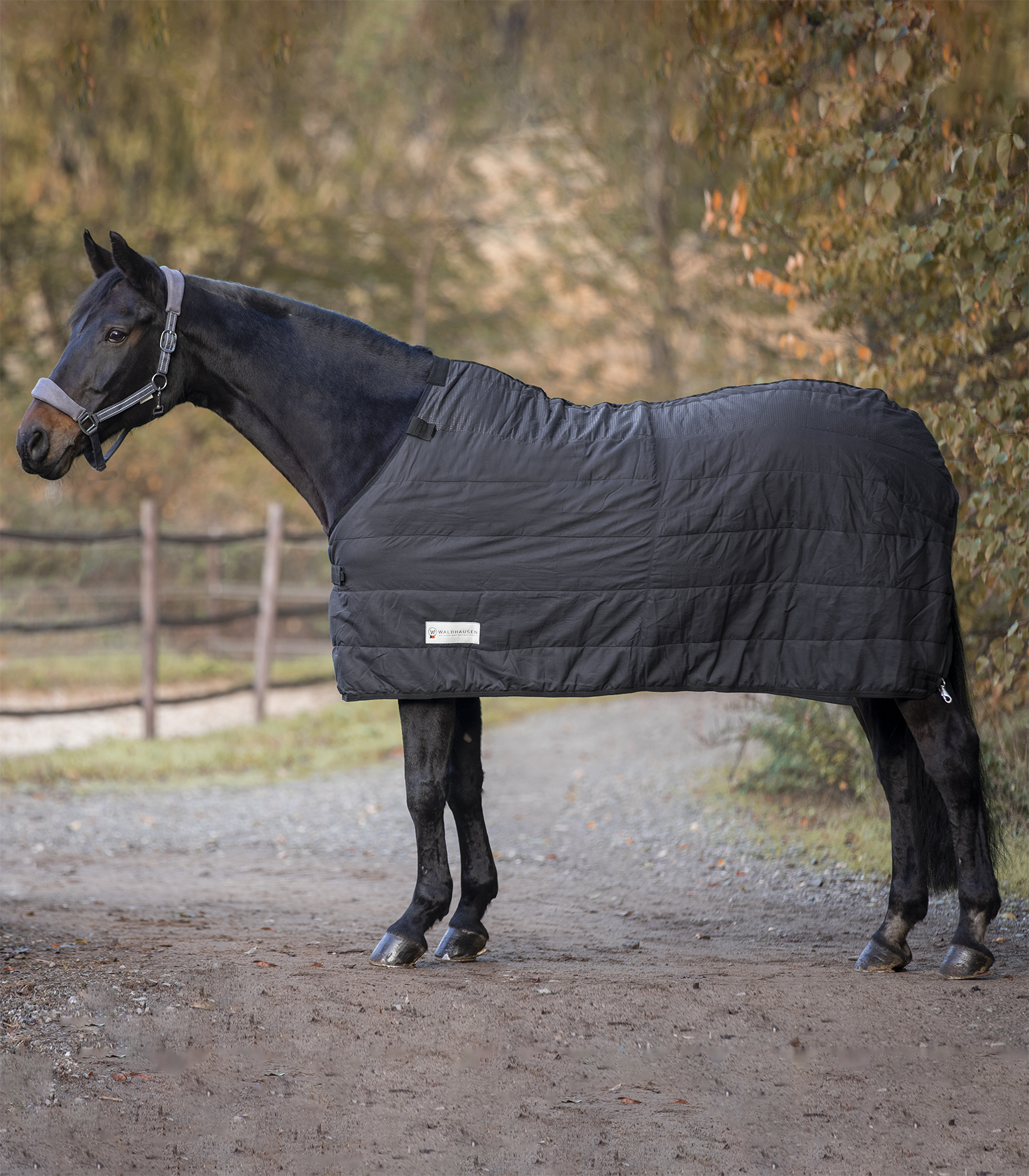 Waldhausen Thermo onderdeken 200 g, black, 115 cm - Afbeelding 2