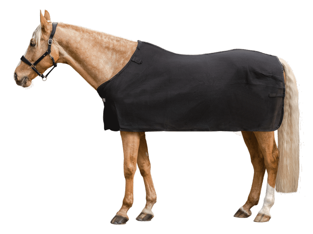 Waldhausen Air Mesh Onderdeken black, 115 cm