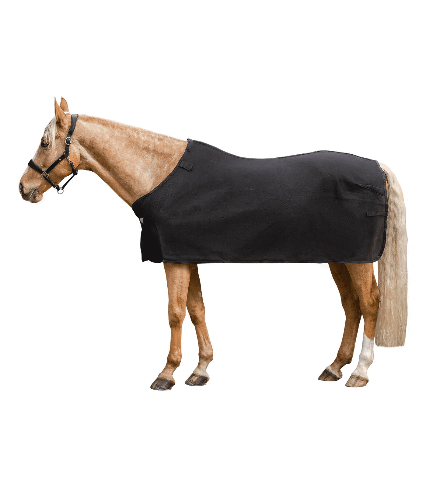 Waldhausen Air Mesh Onderdeken black, 115 cm