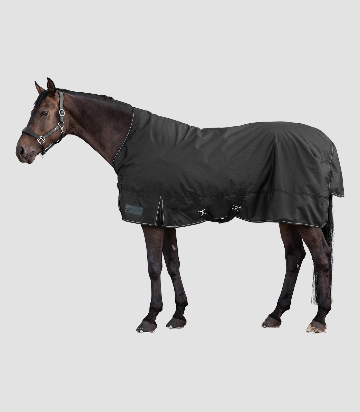 Waldhausen Outdoor rug Nordic, High Neck,100g, Zwart 125 cm