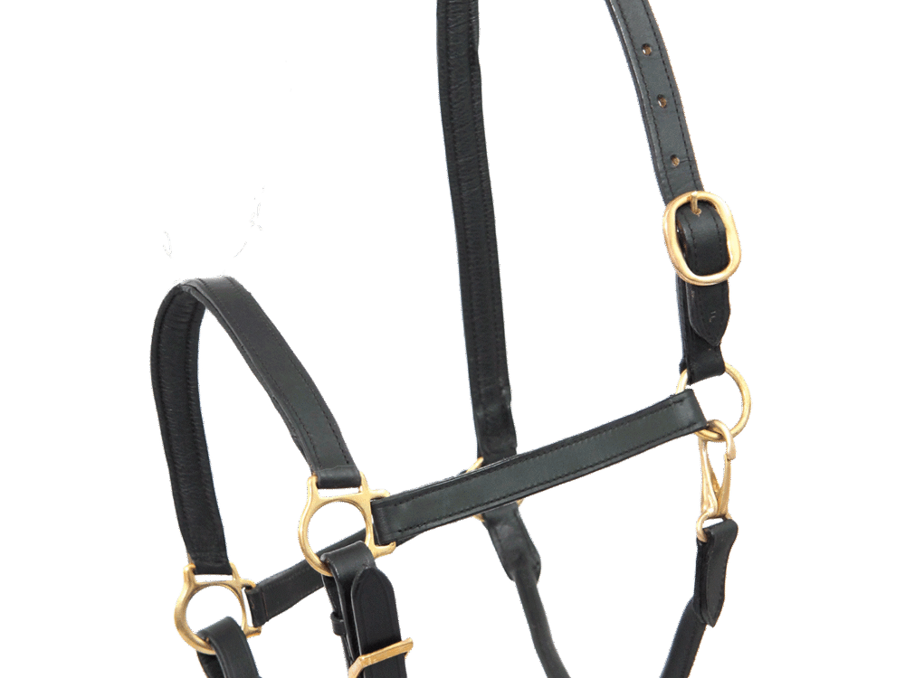 Waldhausen Leren Halster Zwart