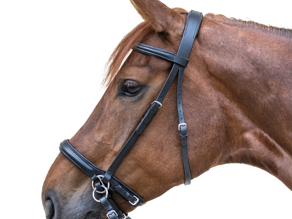 STAR Bitloos Hoofdstel Zwart Pony