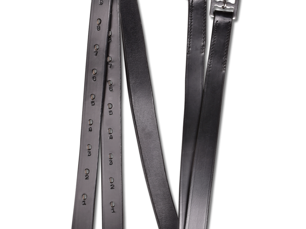 Waldhausen Economische stijgbeugelriemen, 22 mm breed, zwart, 120 cm