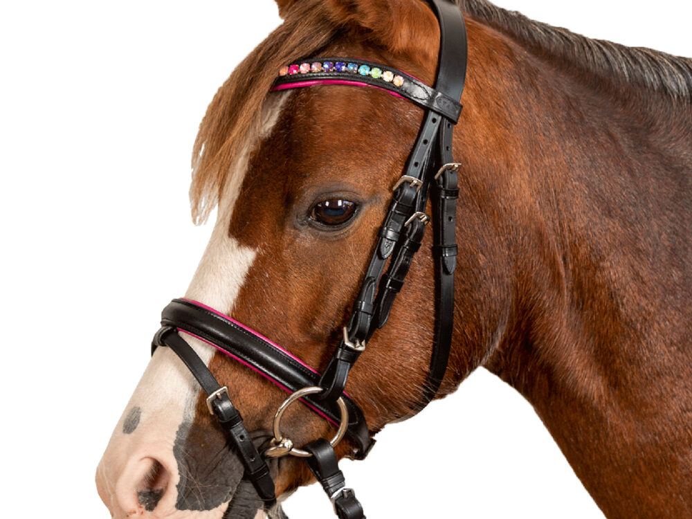 STAR Hoofdstel Pinky com neusriem black, Mini Shetty