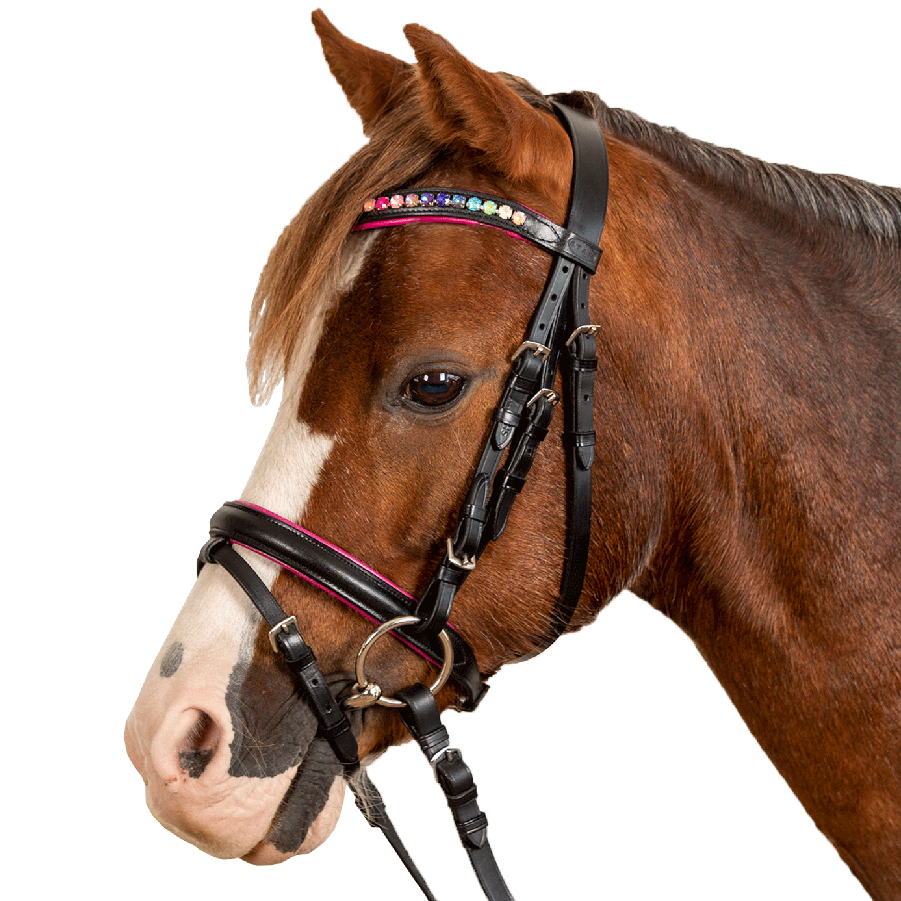 STAR Hoofdstel Pinky com neusriem black, Mini Shetty