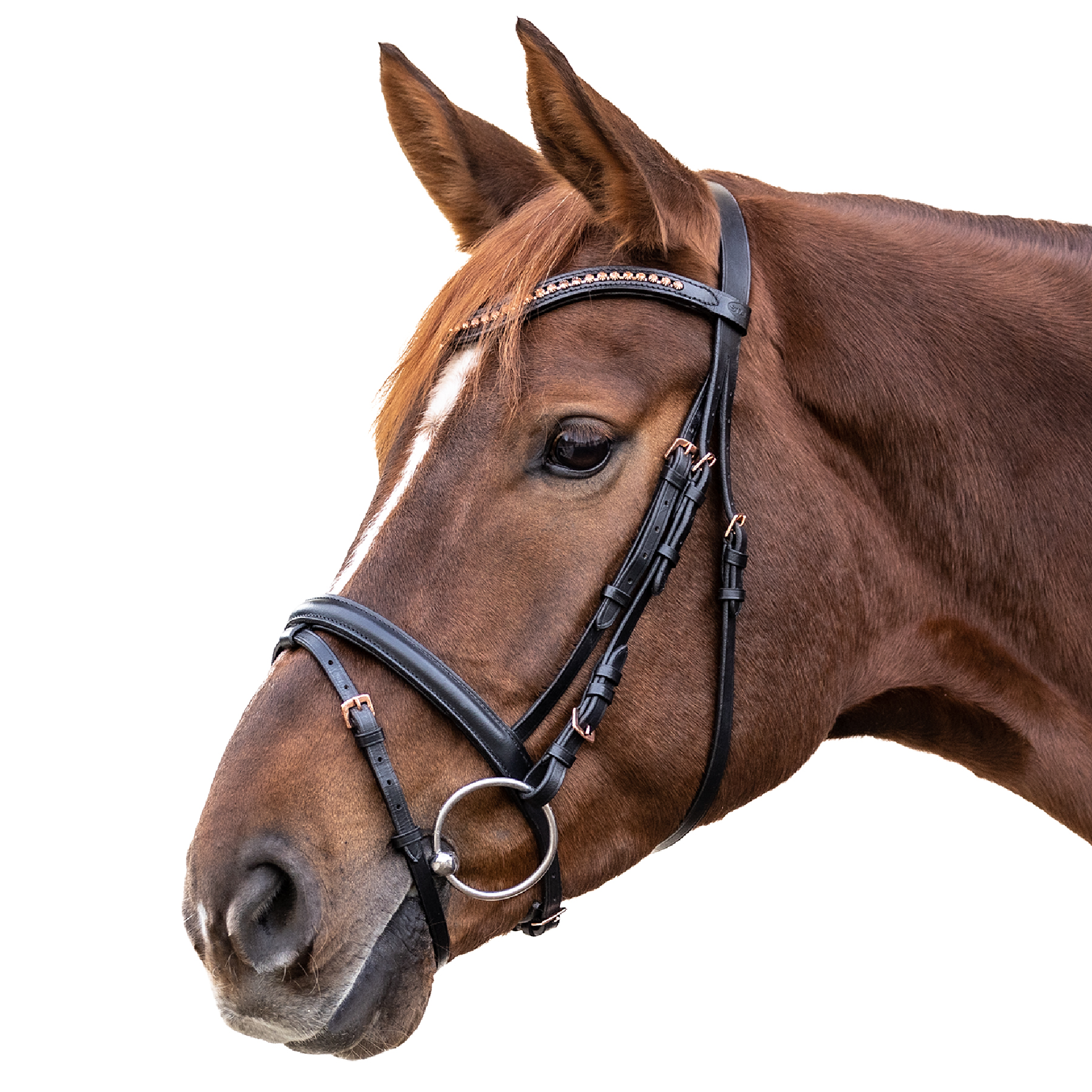 STAR Hoofdstel Rosemary engels gecombineerd, Pony - Afbeelding 2