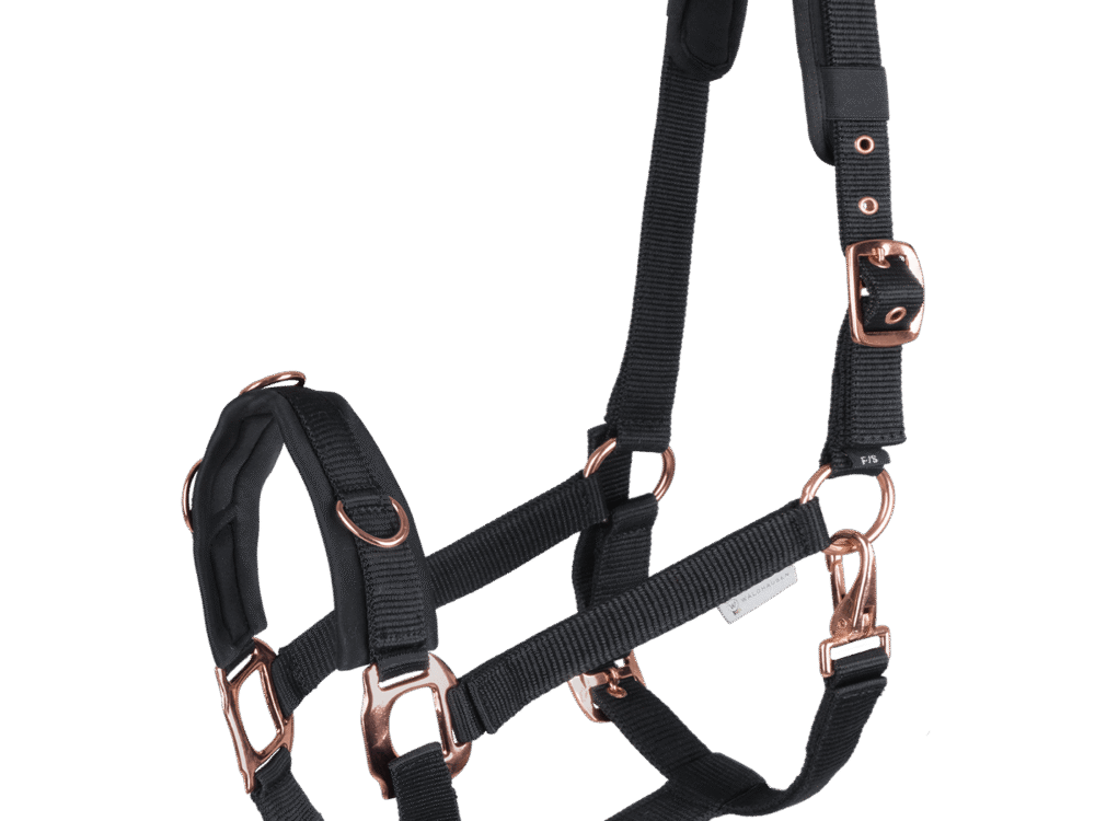 Waldhausen Kaptoom Rosé, black, Pony