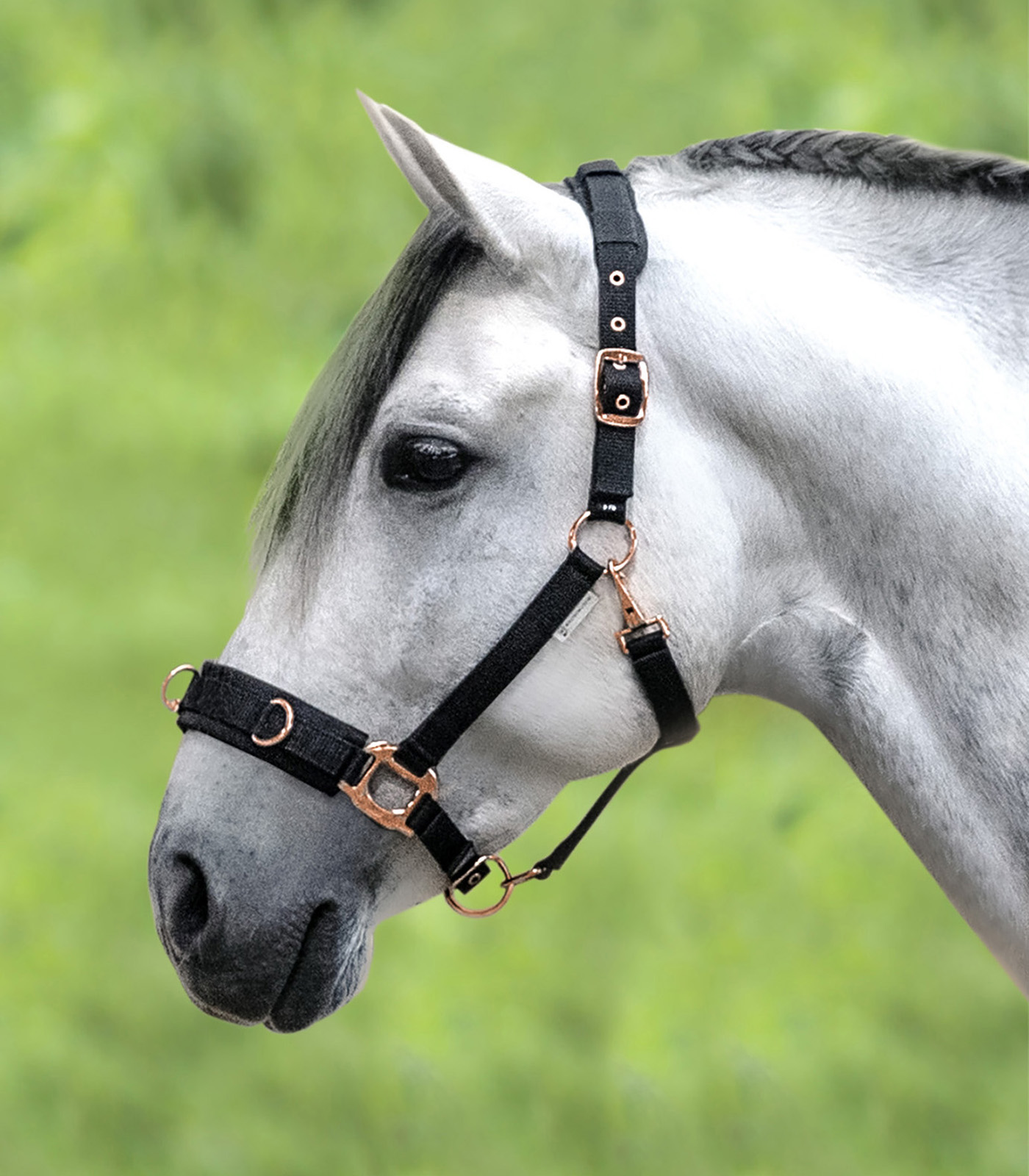 Waldhausen Kaptoom Rosé, black, Pony - Afbeelding 2