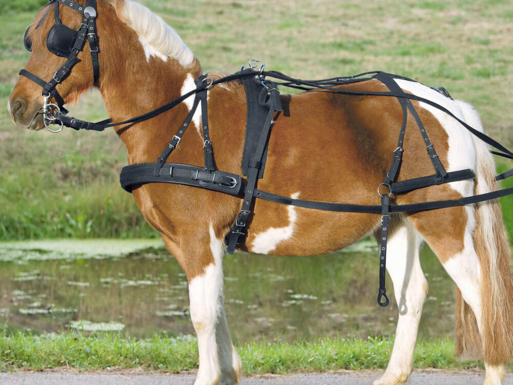 Waldhausen Single harness, Pony