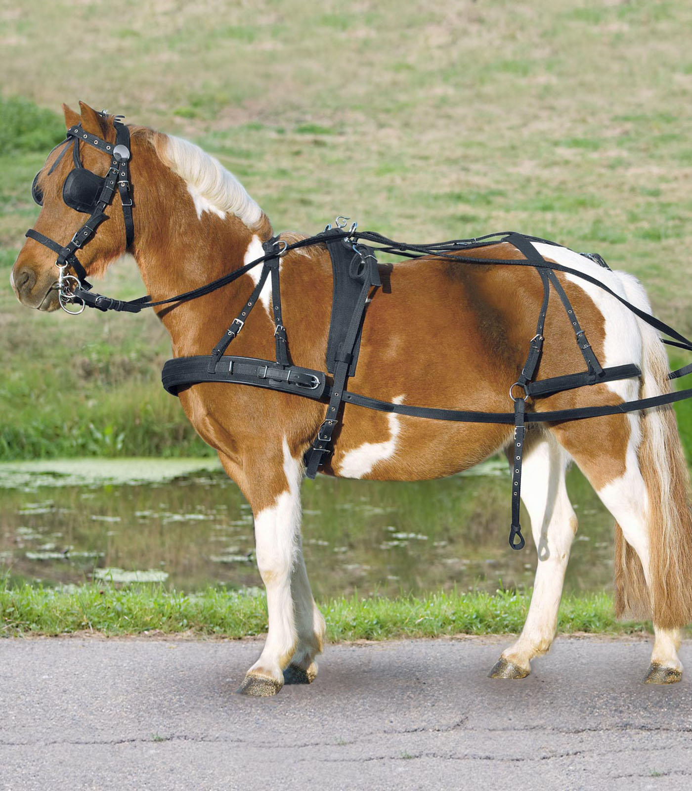Waldhausen Single harness, Pony