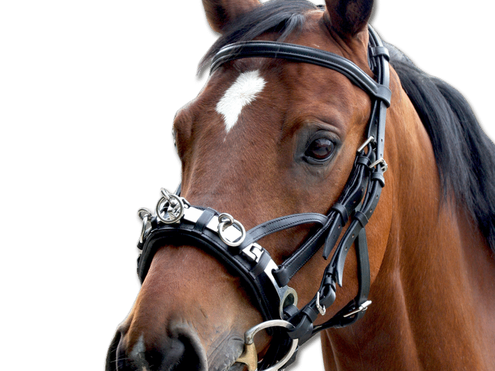 Waldhausen Leren Kaptoom Cob