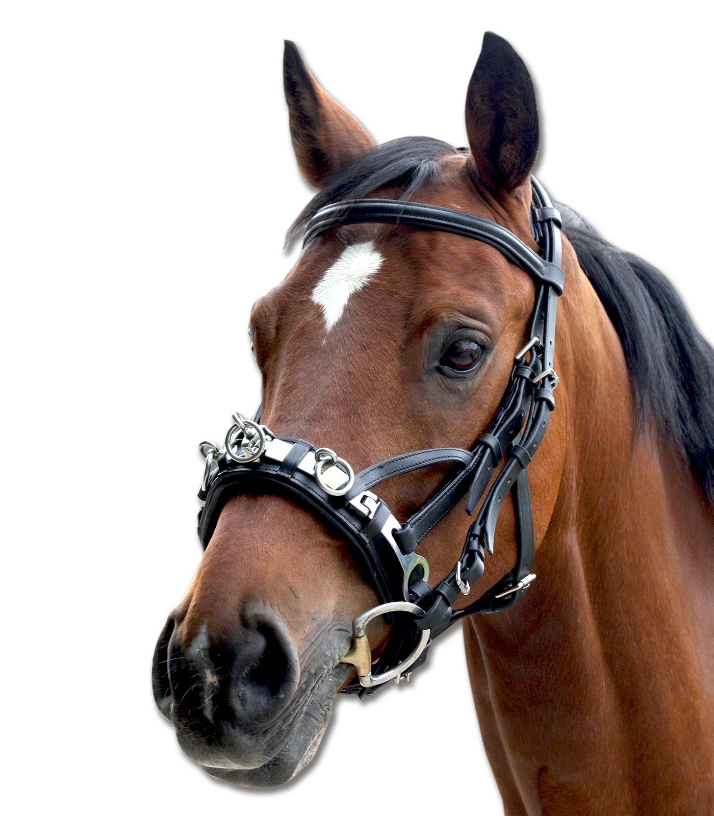 Waldhausen Leren Kaptoom Cob
