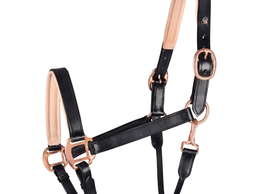Waldhausen leren halster Rosé, X-Line, black, Cob