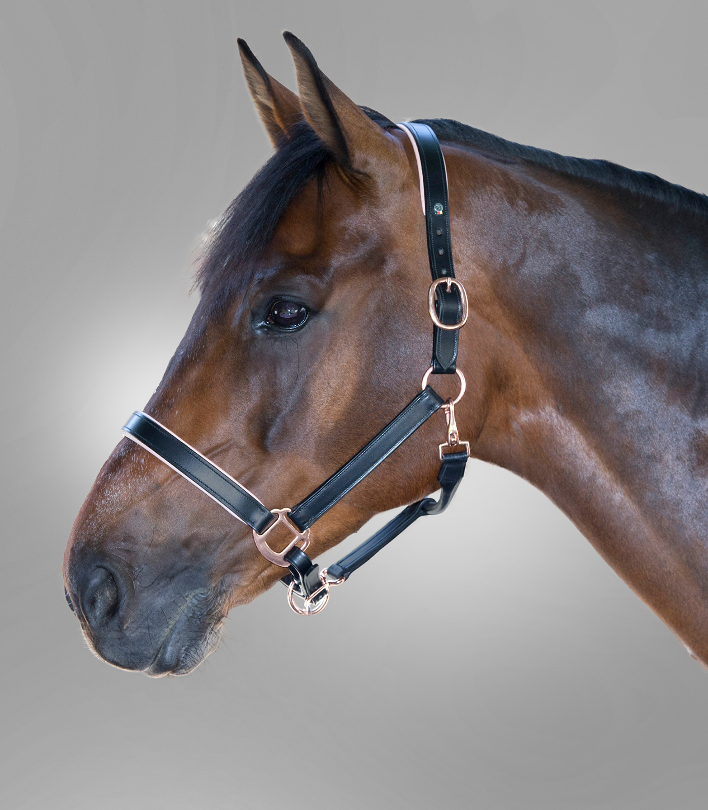 Waldhausen leren halster Rosé, X-Line, black, Cob - Afbeelding 2