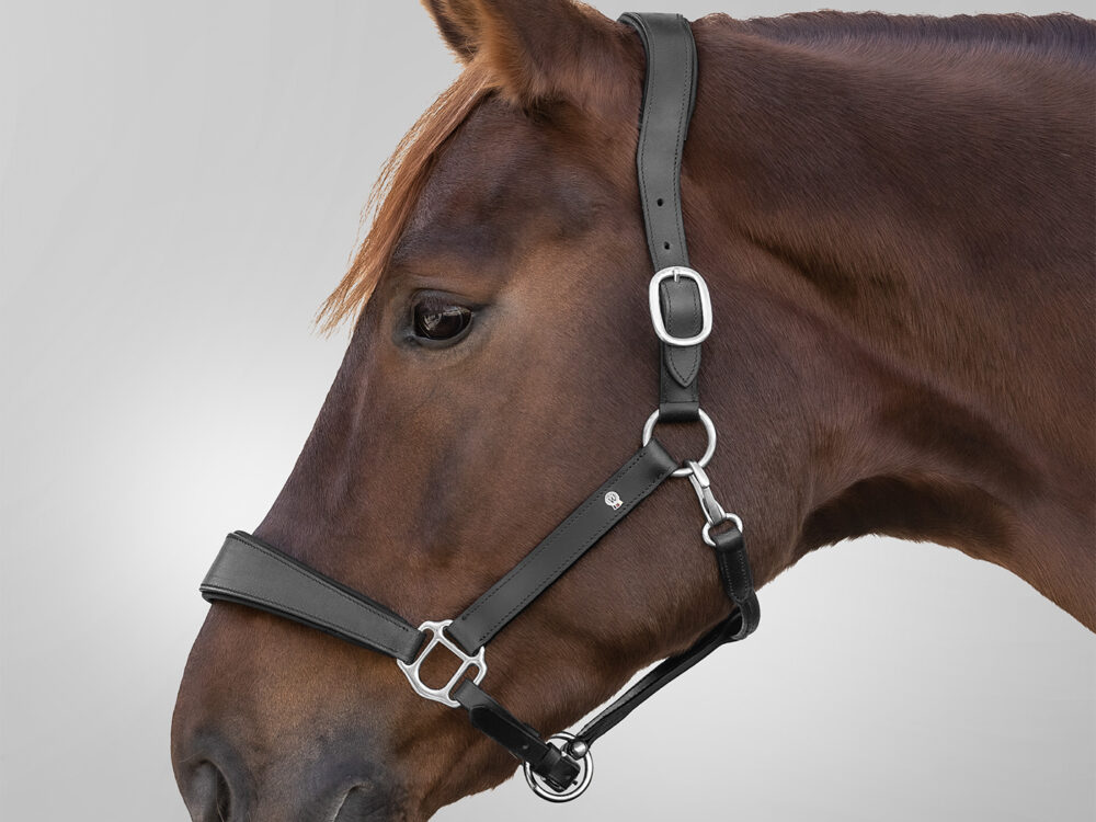 Waldhausen leren halster S-Line Anatomic, zwart, Cob