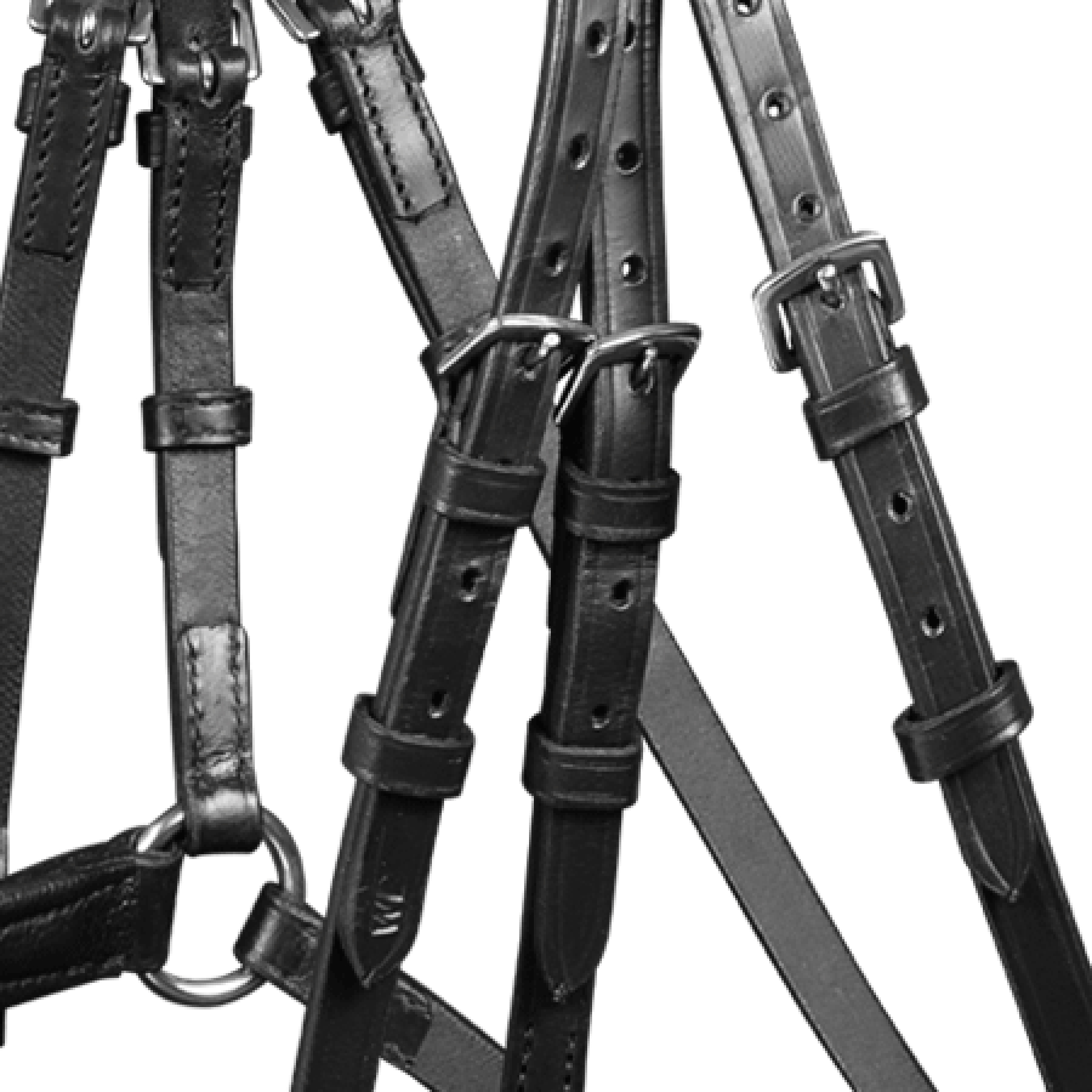 waldhausen hoofdstel X-Line Cancún, mexicaanse zwart Pony - Afbeelding 3
