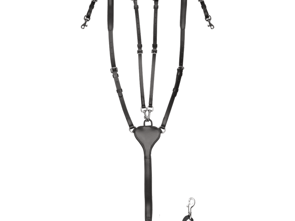 Waldhausen X-Line Breastplate Professional, black, Cob