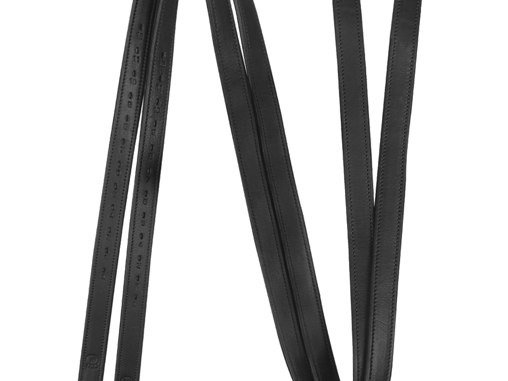 Waldhausen Stijgbeugelriemen Premium 25 mm, zwart, 120 cm