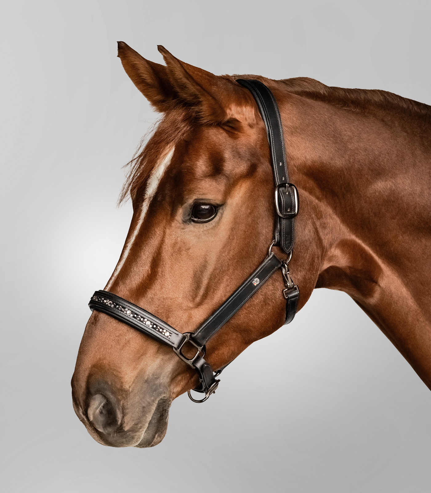 Waldhausen Leren Halster Crystal Zwart Pony - Afbeelding 3