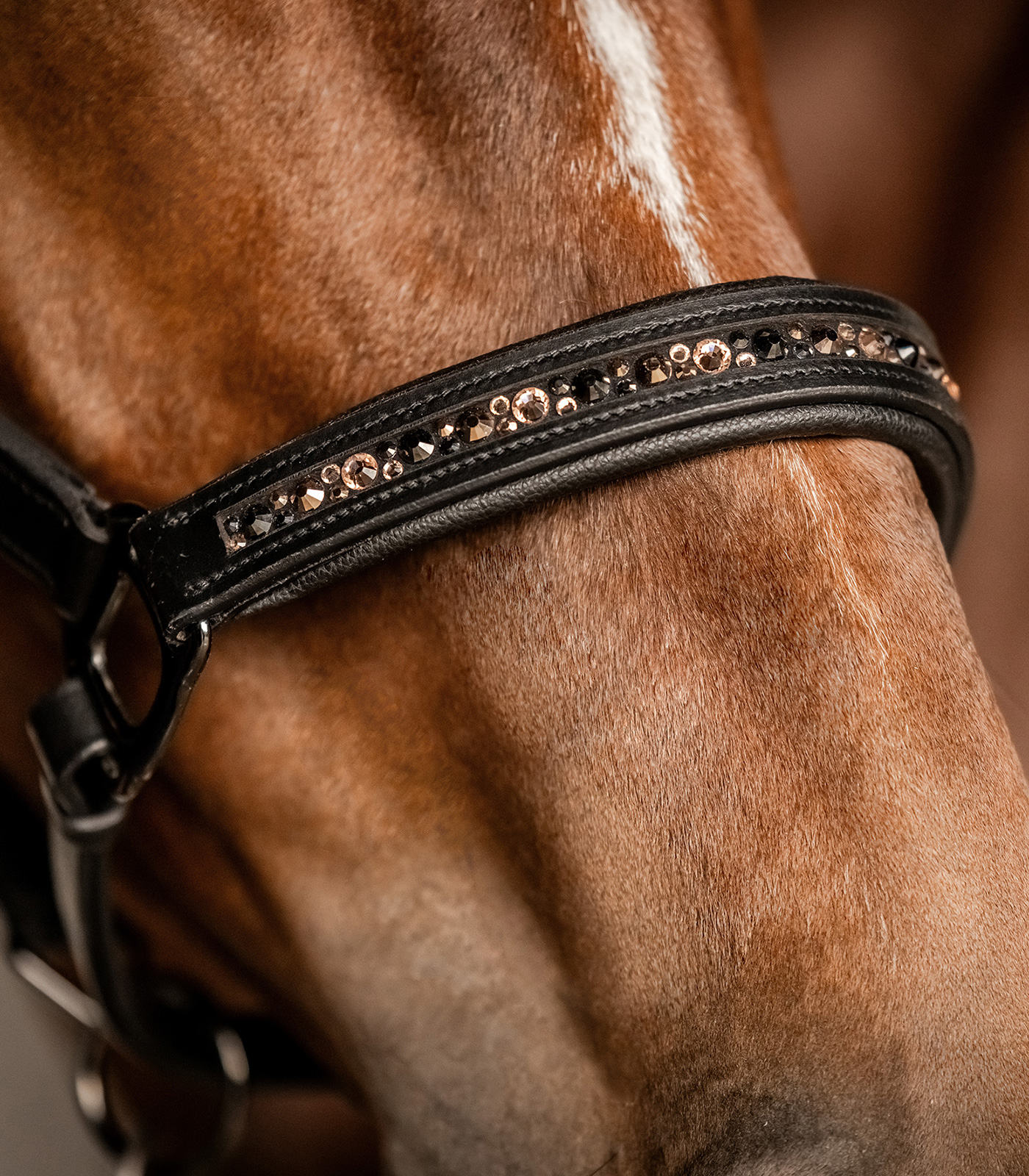Waldhausen Leren Halster Crystal Zwart Pony - Afbeelding 4
