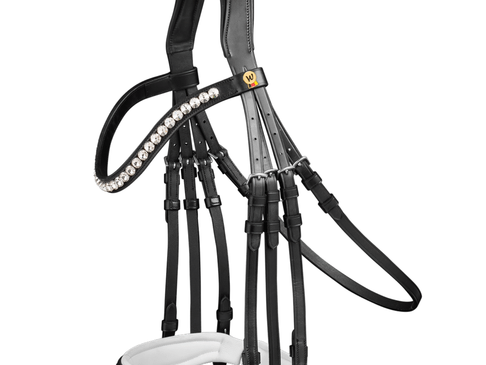 Waldhausen Weymouth Hoofdstel Timeless pullback black