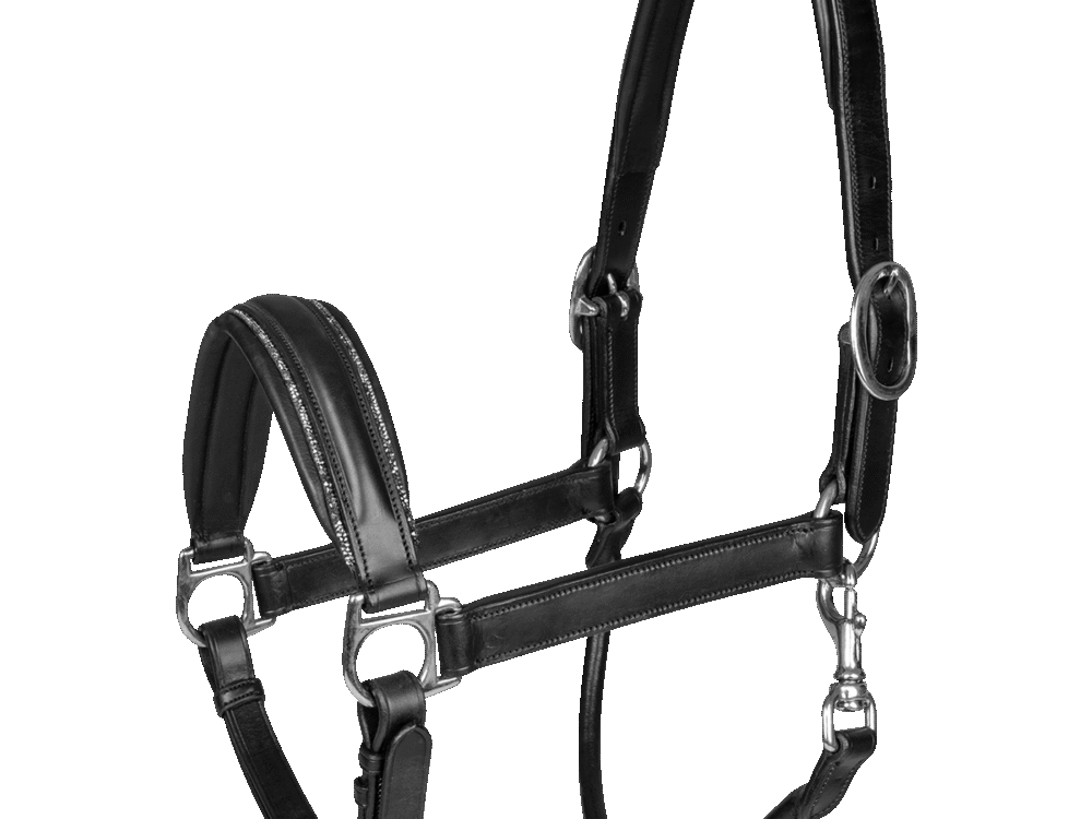 Waldhausen Leren halster S-Line Glamour, zwart, Cob