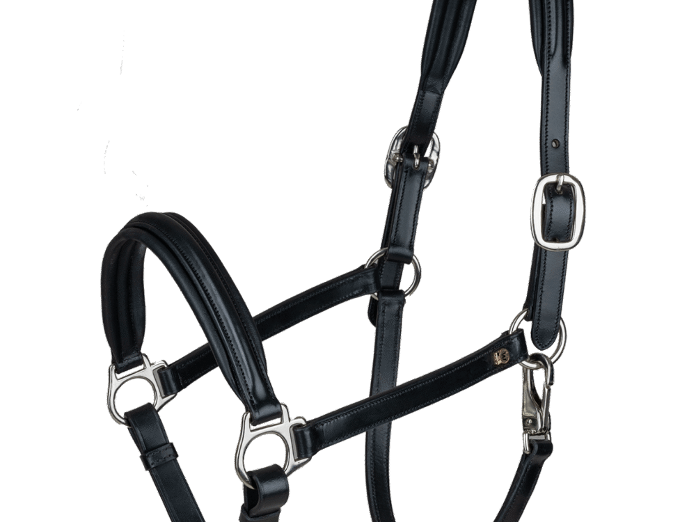 Waldhausen Leren halster S-Line Classy, zwart, Cob