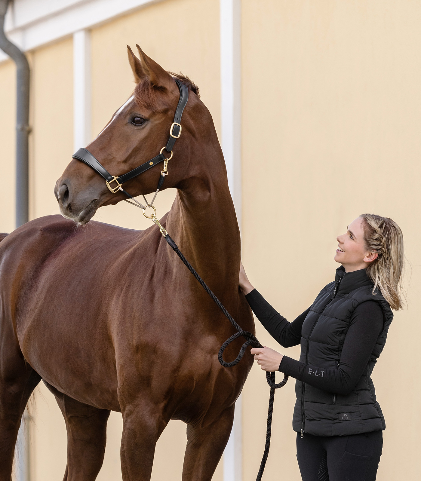 Waldhausen Leren halster S-Line Royal Zwart - Afbeelding 3