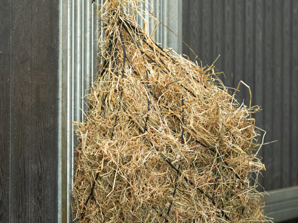Hooinet Knotless 14cm