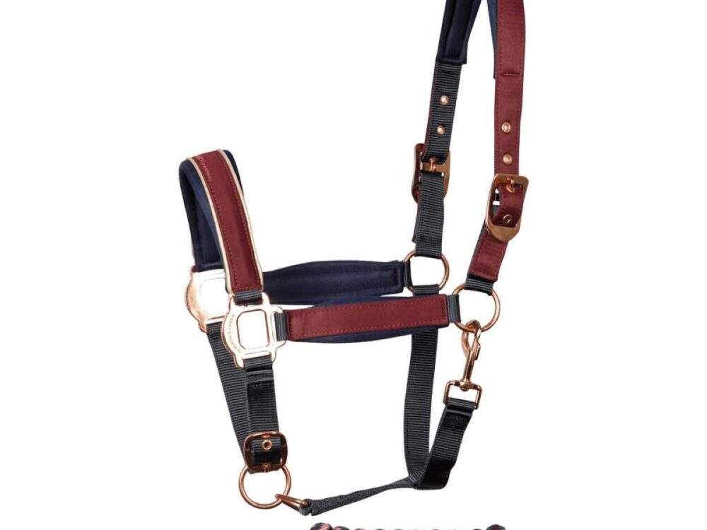Harry's Horse halsterset Denici Cavalli Maroon Satin