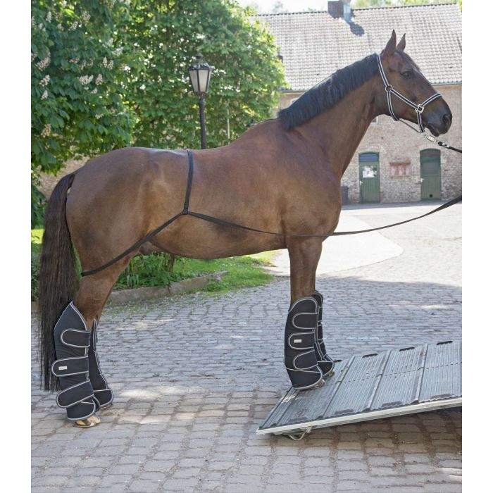 Waldhausen Trailer Laadhulp